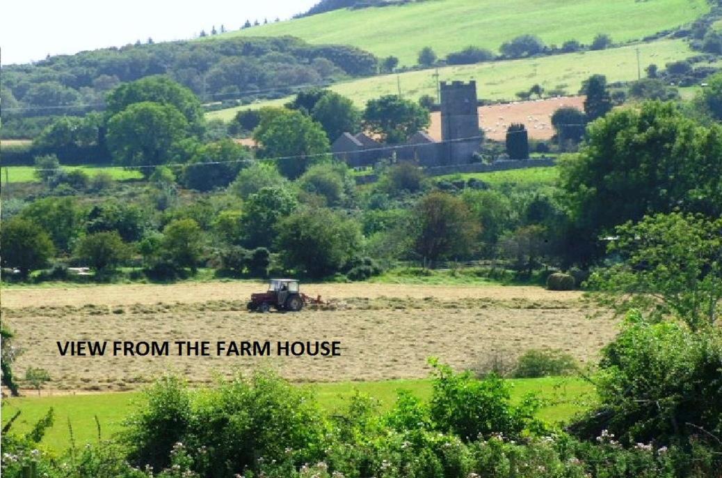 Wonderful Setting Farmhouse Apartment Wicklow Dış mekan fotoğraf