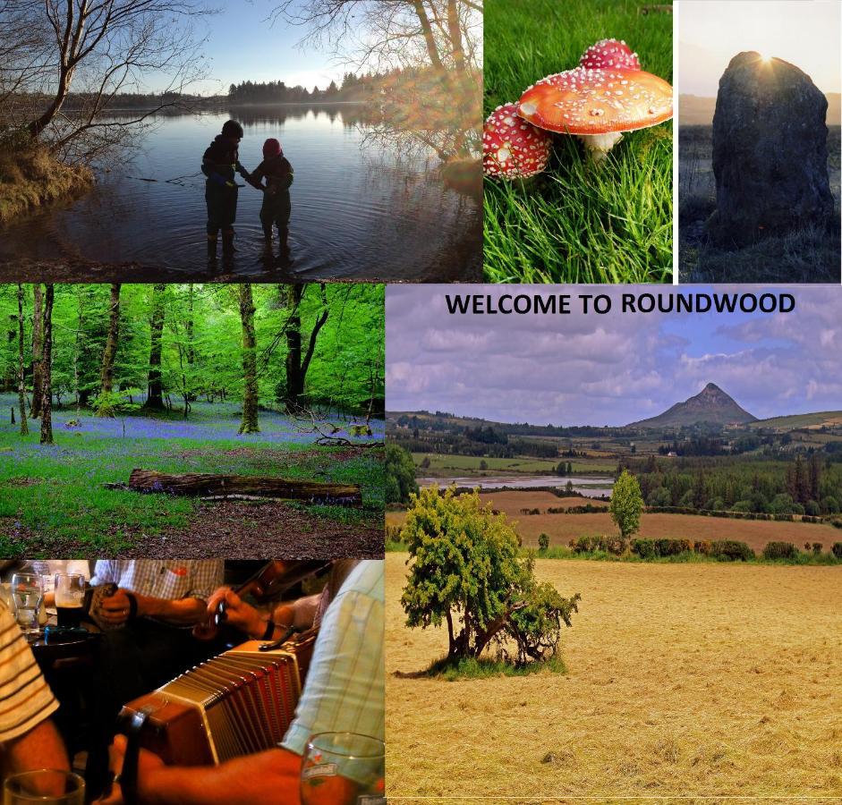 Wonderful Setting Farmhouse Apartment Wicklow Dış mekan fotoğraf